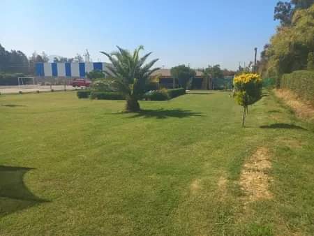 Lugar de evento para disponer